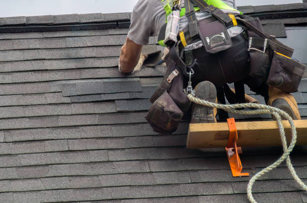 Professional Roofing Contractor in Red Lake, MN