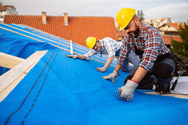 Best Flat Roof Repair Services  in Red Lake, MN